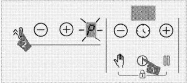 Diagram illustrating electric field lines and positive/negative charges with labeled symbols and directional arrows