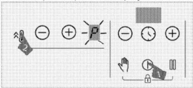 Diagram illustrating electric field lines and positive/negative charges with labeled symbols and directional arrows