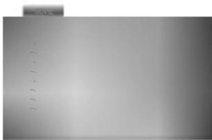 LG DK9823CPM - Playing a DivX Movie Disc - 1