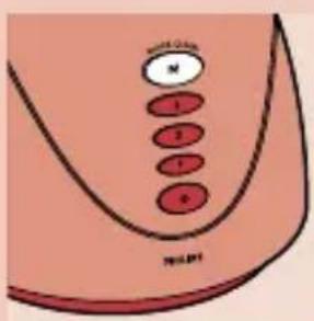 Diagram showing a labeled anatomical structure with numbered points and annotations, likely from a medical or scientific illustration.