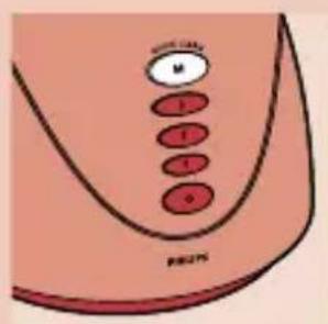 PENZYS 1 1 1 0