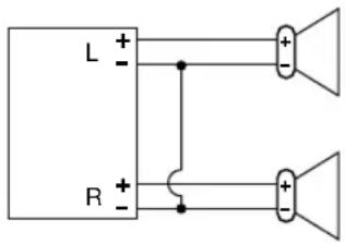 L + - R + -