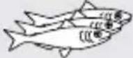 TEFAL Inicio Grill Adjust GC2428 - Inicio Grill Adjust - 30