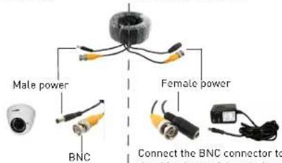 Male power Female power BNC Connect the BNC connector to the connection of the cable