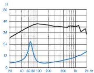AUDISON TH K2 Coro - Performance - 3