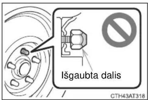 Išgaubta dalis CTH43AT318