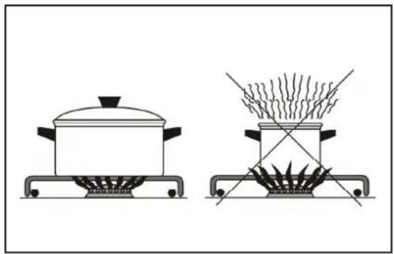 Two heating methods: a pot on a gas stove and a portable stove with steam rising (no text or symbols)
