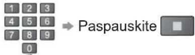 PANASONIC TH-64PZ800E - Pastaba - 10