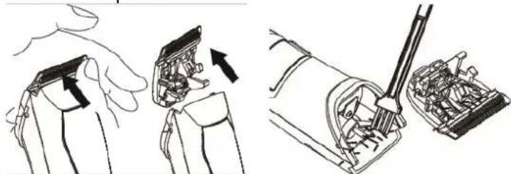 Orbegozo CTP 3500 - Como limpar: - 1