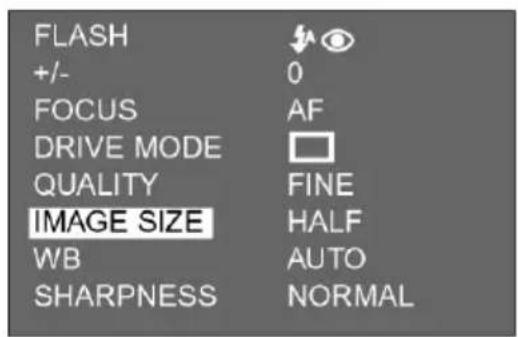 FLASH +/- 0 FOCUS AF DRIVE MODE QUALITY FINE IMAGE SIZE HALF WB AUTO SHARPNESS NORMAL