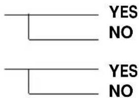 YES NO YES NO
