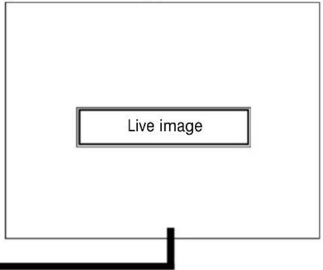 Live image