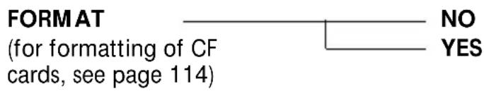 FORMAT (for formatting of CF cards, see page 114) NO YES