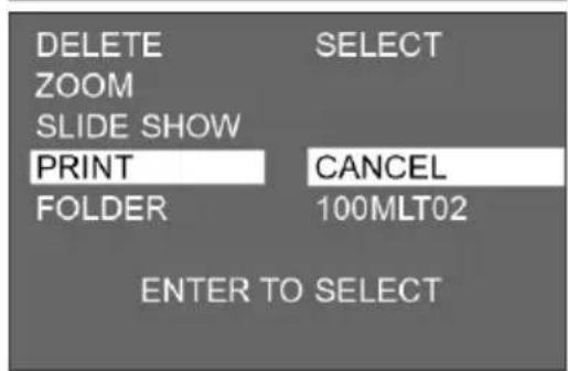 DELETE SELECT ZOOM SLIDE SHOW PRINT CANCEL FOLDER 100MLT02 ENTER TO SELECT