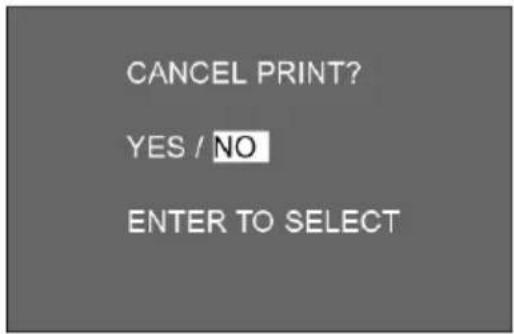 CANCEL PRINT? YES / NO ENTER TO SELECT