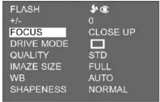 FLASH +/- 0 FOCUS CLOSE UP DRIVE MODE QUALITY STD IMAZE SIZE FULL WB AUTO SHAPENESS NORMAL