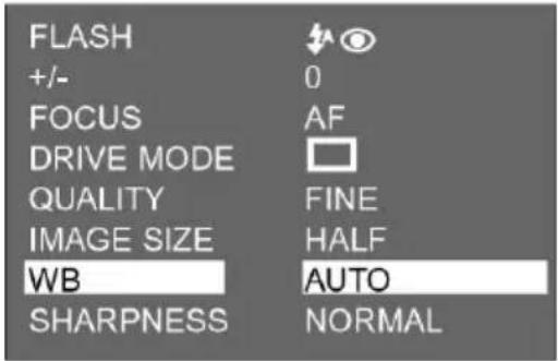 FLASH +/- 0 FOCUS AF DRIVE MODE QUALITY FINE IMAGE SIZE HALF WB AUTO SHARPNESS NORMAL