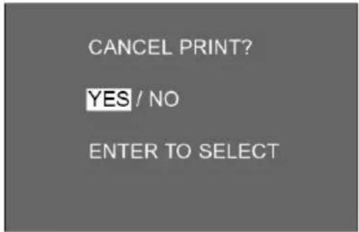 CANCEL PRINT? YES / NO ENTER TO SELECT