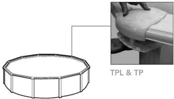 TPL & TP