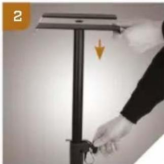 Auray LMS-335 - Adjusting the height - 2