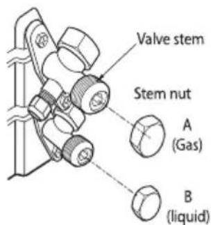 Valve stem Stem nut A (Gas) B (liquid)