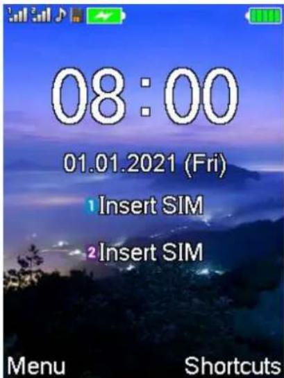 08:00 01.01.2021 (Fri) 1 Insert SIM 2 Insert SIM Menu Shortcuts