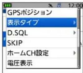 GPSボジション 表示タイプ D.SQL SKIP ホームCH設定 電圧表示