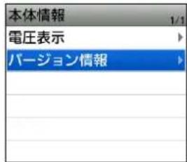 本体情報 1/1 電圧表示 バージョン情報
