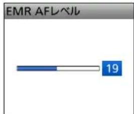 EMR AFLベル 19