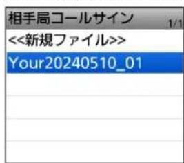 相手局コールサイン <<新規ファイル>> Your20240510_01