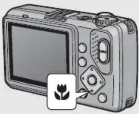 PENTAX G600 - シャッターボタンを押し切る - 1