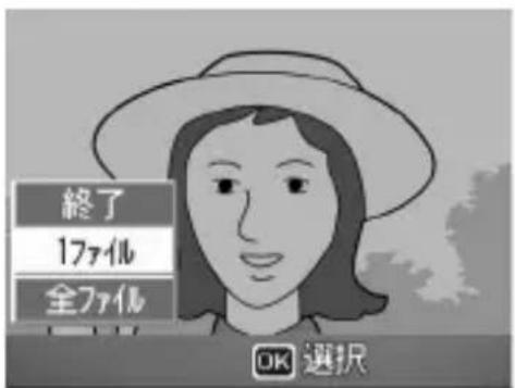PENTAX G600 - [1 ファイル] が選ばれていることを確認して、MENU/OKボタンを押す - 1