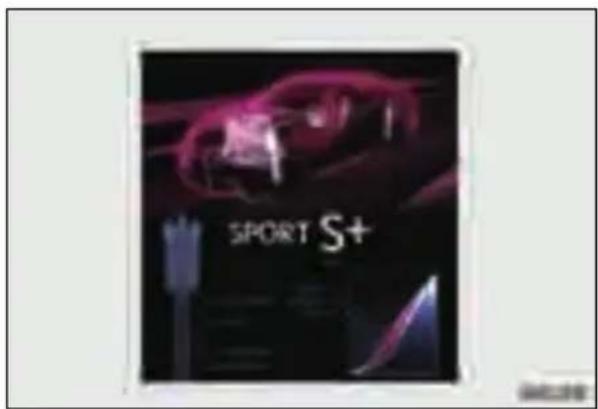 SPORT S+