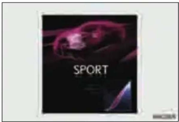 SPORT
