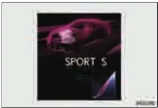 SPORT S