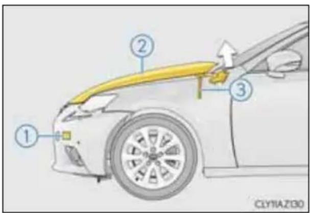 LEXUS IS 300h (2013) - Motorpārsega pacēlāja mehānisms - 1