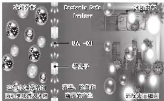 冰箱外部 Bacteria Safe Ionizer UV、-OH 等离子 空气中漂浮的细 菌和臭味进入冰箱 消毒、除臭和 离子的产生 消除表面细菌 冰箱内部