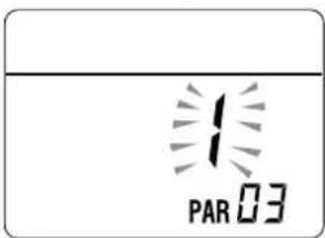 PAR 03