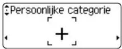 Persoonlijke categorie +