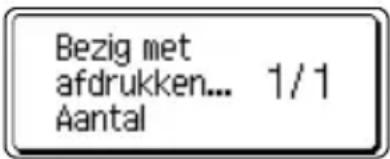 Bezig met afdrukken... 1/1 Aantal