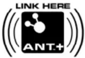LINK HERE ANT.+