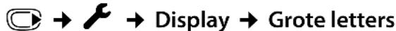GIGASET C610 Silky - Grote letters inschakelen - 1