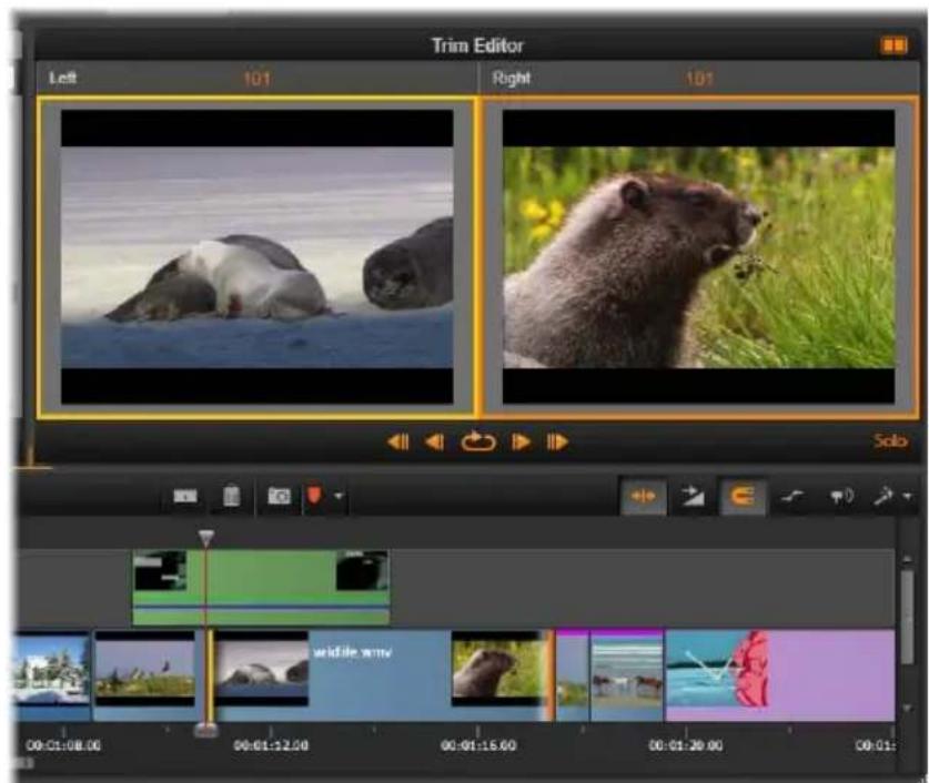 Trim Editor Left 101 Right 101 Sob wildlife.wwv 00:01:08.00 00:01:12.00 00:01:15.00 00:01:20.00 00:01: