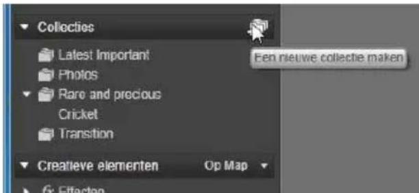 Collocties Latest Important Photos Rare and precious Cricket Transition Een nieuwe collectie maken Creatieve elementen Op Map fx Effecten