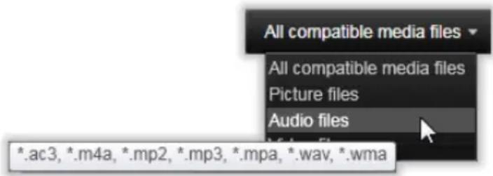 All compatible media files All compatible media files Picture files Audio files *.ac3, *.m4a, *.mp2, *.mp3, *.mpa, *.wav, *.wma