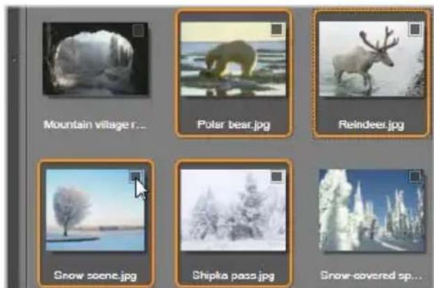 Mountain village r... Polar bear.jpg Reindeer.jpg Snow scene.jpg Shipka pass.jpg Snow-covered sp...