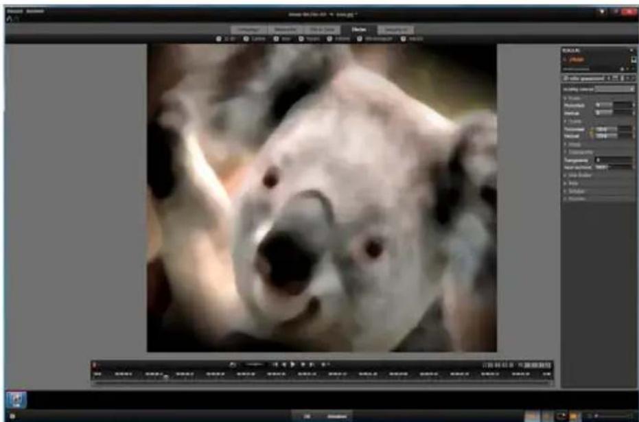 PINNACLE Studio 16 Plus - Media bewerken: Effecten - 1
