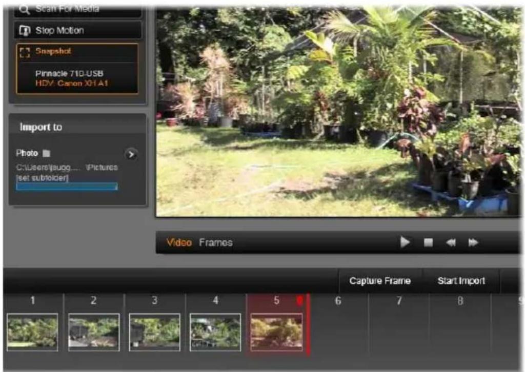 Scan For Media Stop Motion Snapshot Pinnacle 710-USB HDV Canon XH A1 Import to Photo C:\Users\saugg.... \Pictures [set subtolder] Video Frames Capture Frame Start Import 1 2 3 4 5 6 7 8 9