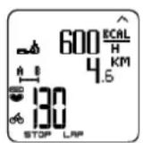 POLAR CS600X GPS - Snelheid - 1