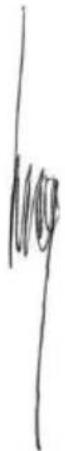 PowerPlus POWX0060LI - CONFORMITEITSVERKLARING - 3